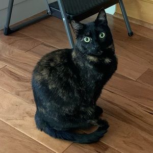 Meet your Posher, Justin